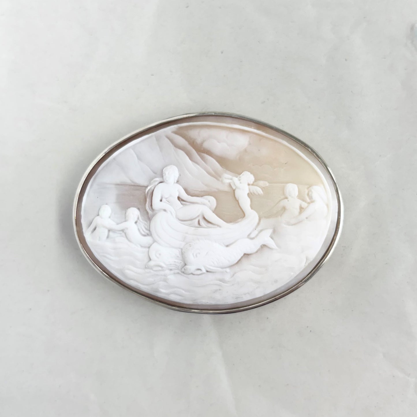 SV900(Pt)   シェルカメオ　ブローチ